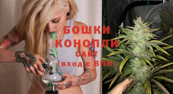стафф Богданович
