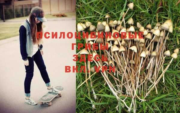 герыч Богородск