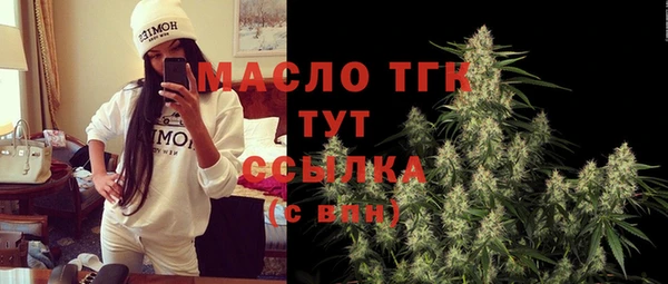 mix Богородицк