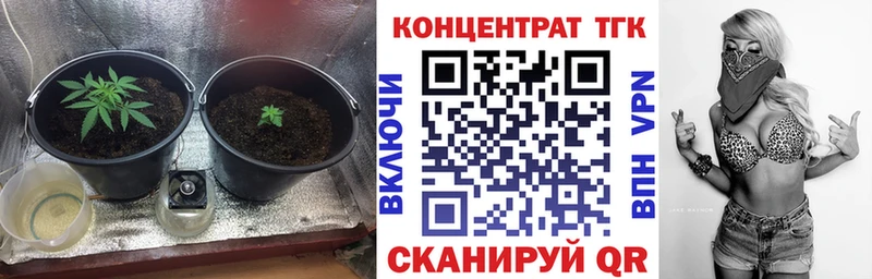 наркота  Богородск  ТГК Wax 