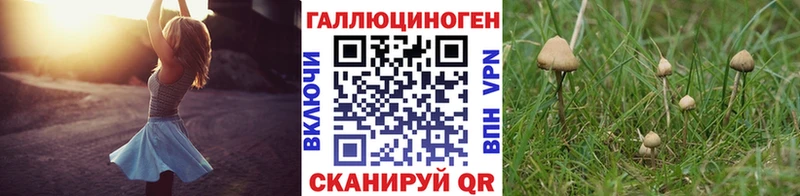 Галлюциногенные грибы Psilocybe  Богородск 
